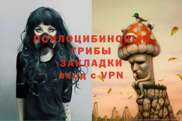 соль курить ск Алзамай