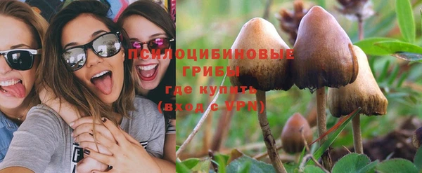 бошки Абинск