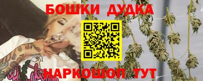 2c-b Камышлов