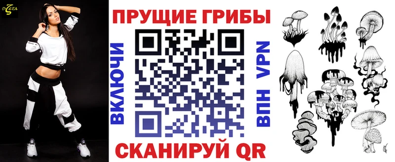 Галлюциногенные грибы Psilocybine cubensis  закладки  Кохма 