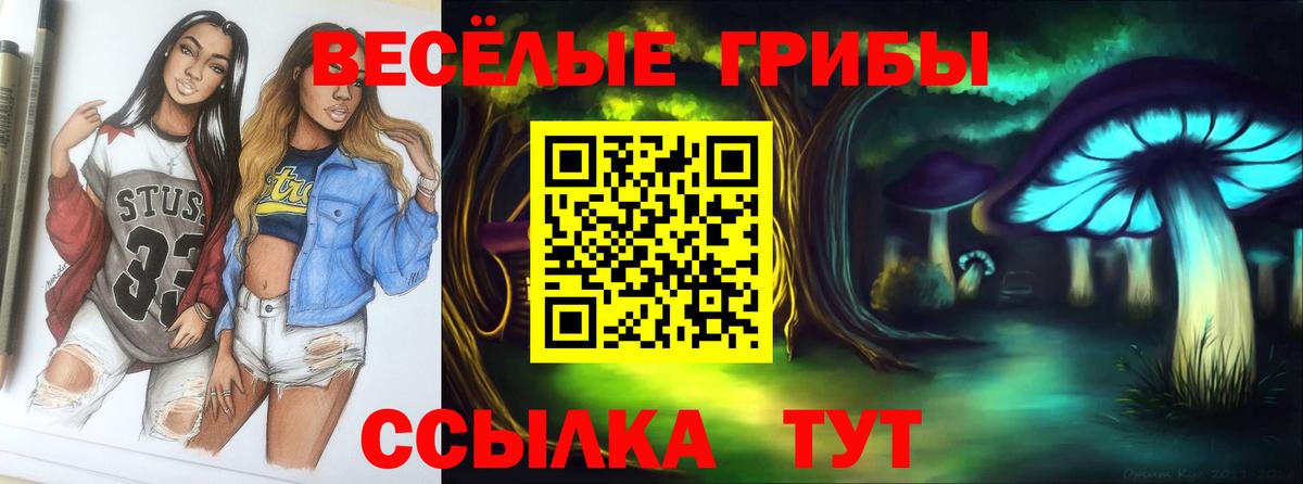 Кохма  Галлюциногенные грибы GOLDEN TEACHER  Вход с VPN  Псилоцибиновые грибы мухоморы 