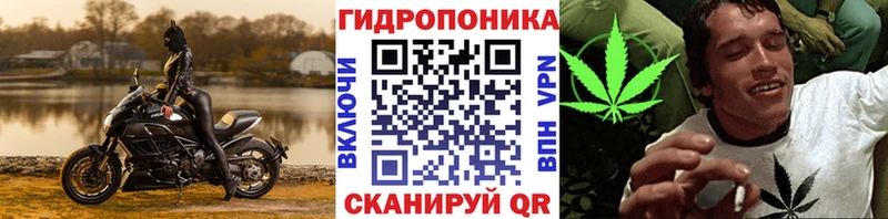 где найти   Кохма  MEGA сайт  Конопля LSD WEED 